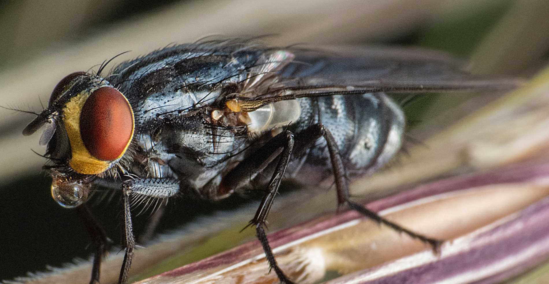 manlake-gabriel-464067.jpg (1)